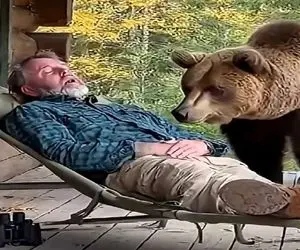 معماری طبیعت؛ مرد حق داره منم بیدار شم یه همچین چیزی بالا سرم ببینیم فیوزم میپره