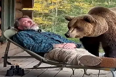 معماری طبیعت؛ مرد حق داره منم بیدار شم یه همچین چیزی بالا سرم ببینیم فیوزم میپره