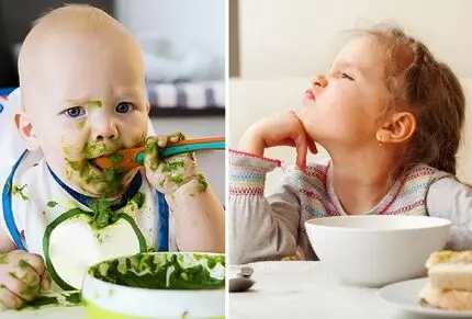 غذاهای خوشمزه برای کودکان بد غذا؛ انواع تزیین که اشتهای بچه رو برانگیخته میکنه