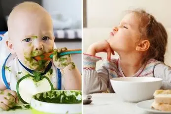 غذاهای خوشمزه برای کودکان بد غذا؛ انواع تزیین که اشتهای بچه رو برانگیخته میکنه