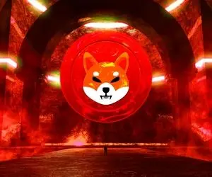 هم دست شدن شگفت انگیز شیبااینو!!