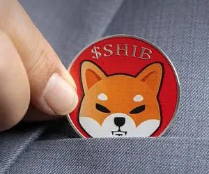 امیدی جنجال برانگیز از شیبااینو!