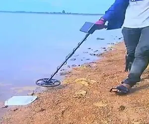 معماری طبیعت؛ بالاخره یکی با این طلایاب ها یه چیز به دردبخور پیدا کرد بخت در خونشو زد