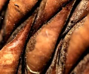 تست هوش تصویری؛ اگه فکر می کنی تو باهوشی سلطانی هستی واسه خودت بگو این تصویر چی چیه!