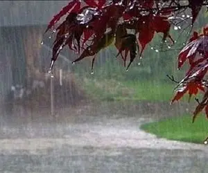 پیش بینی بارش باران  و رعد و برق برای البرز از امروز