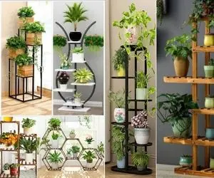 چیدانه خیلی قشنگ؛ باغچه نداری؟ خیالی نیست جاش خونه رو پر گلدون کن ولی اینجوری بانظم