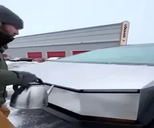 معماری طبیعت؛ اگه مرد مغزشو آکبند نگه نمیداشت شاید الان ماشینش سالم بود