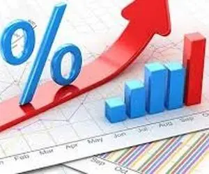 سود واریز شده به حساب سهامداران چیست؟ 