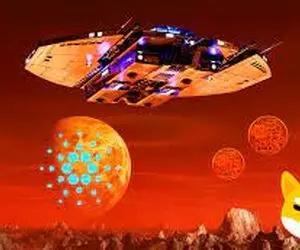 رقیب شیبااینو ترا چه جنجالی به پاکرد؟