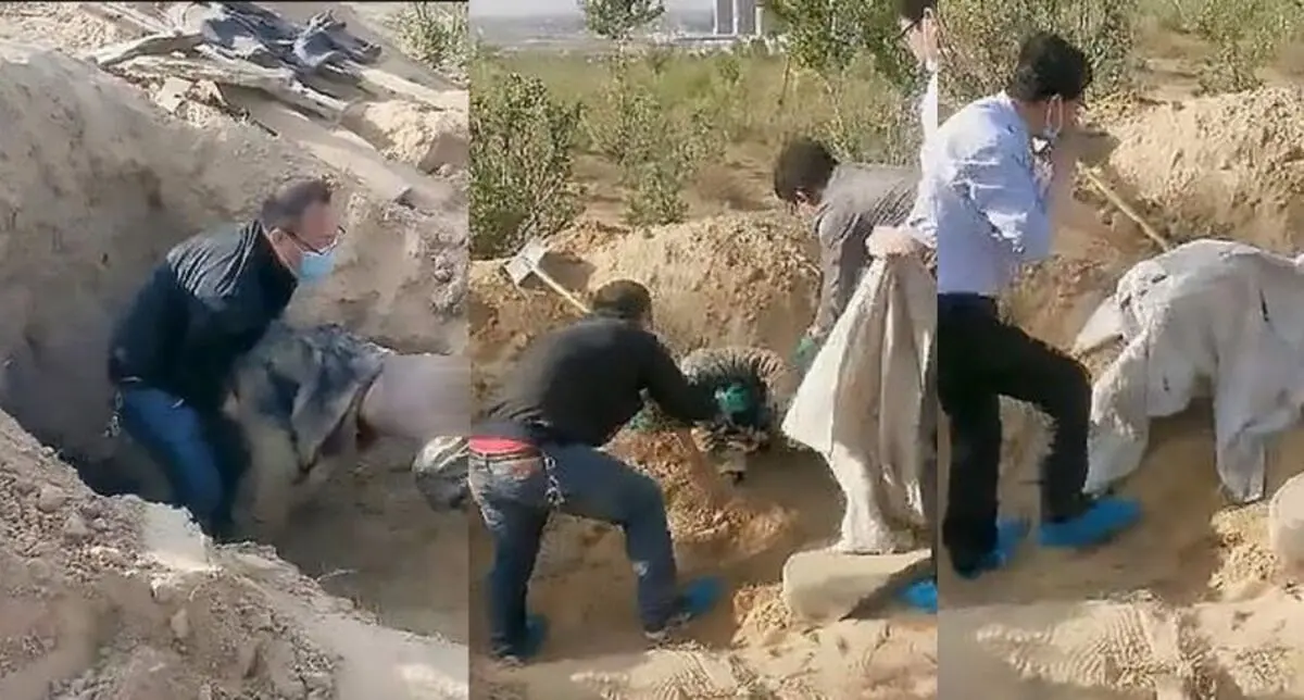 (فیلم و عکس) مرد جوان مادر پیرش را زنده به گور کرد!