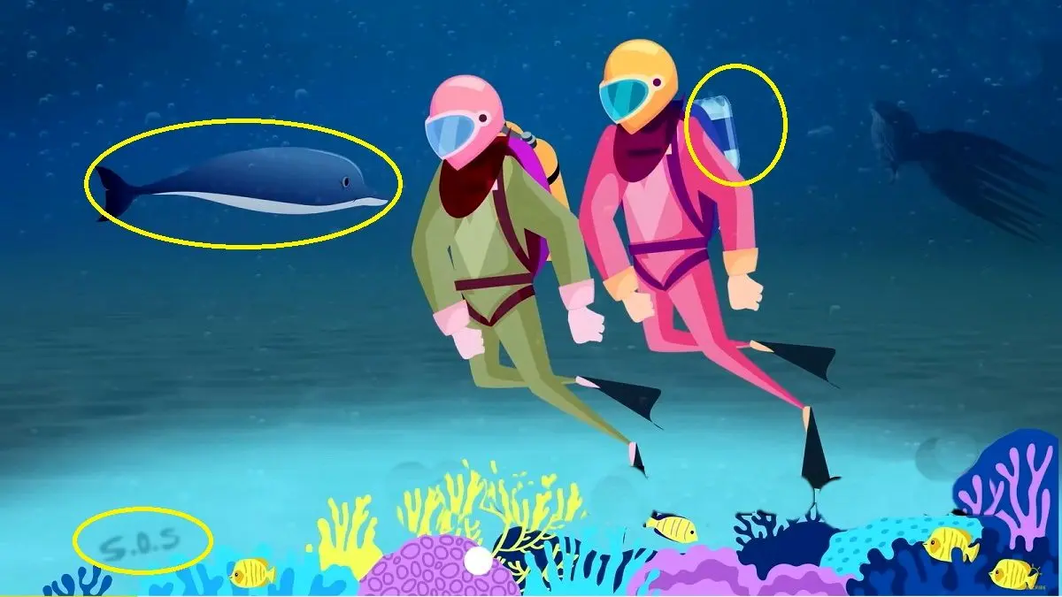 پاسخ-بازی-فکری-اشتباهات-غواصها-در-دریا