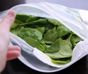 ترفندهای خانه داری؛ نحوه شستن، پختن و فریز کردن اسفناج