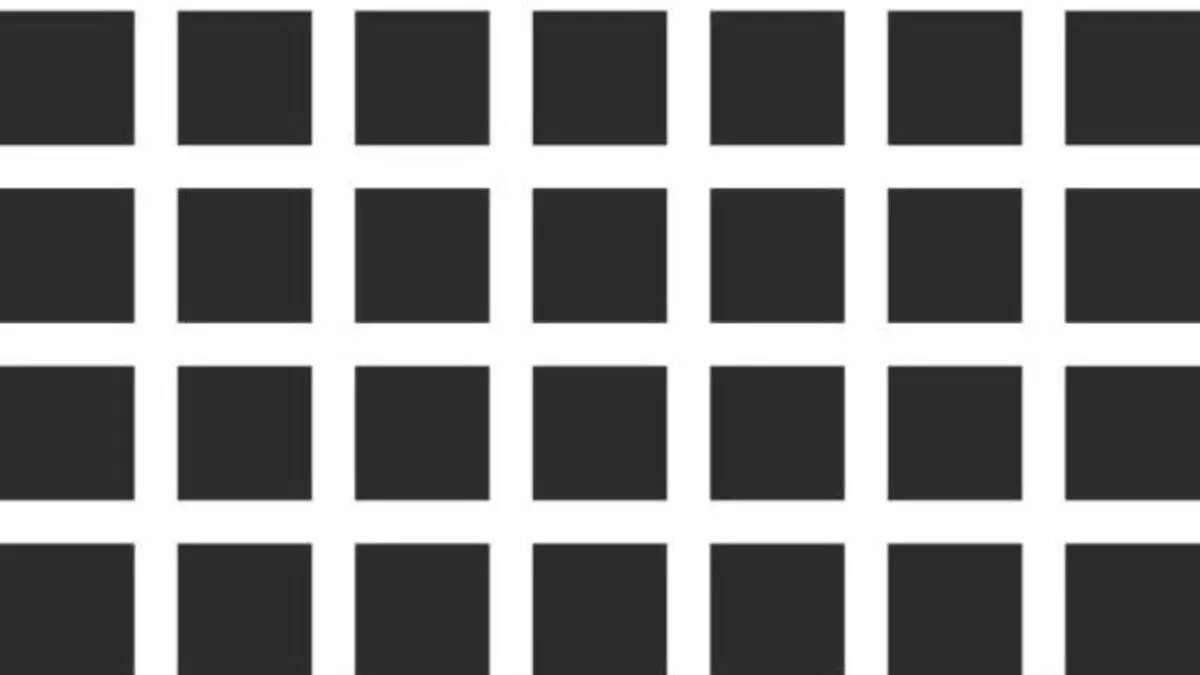 hermann-grid