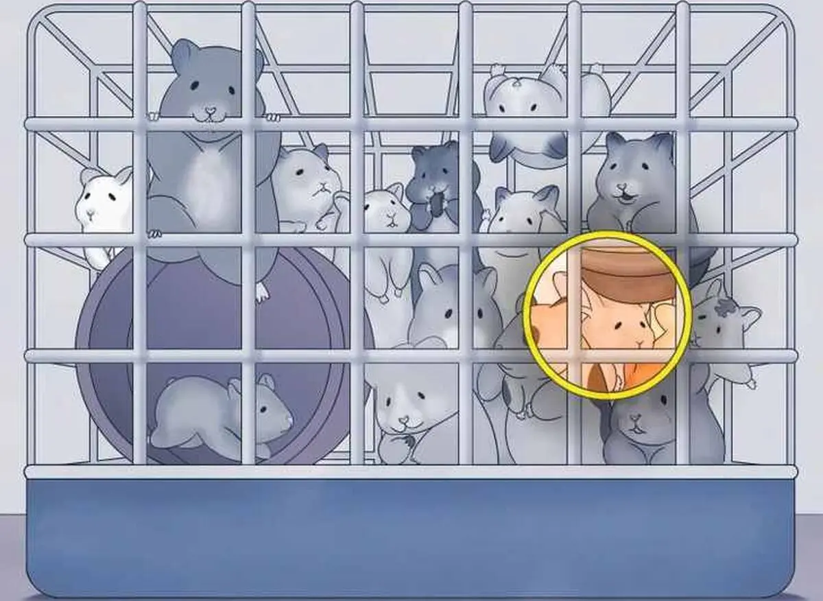 111