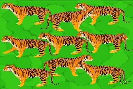 بازی فکری؛ اگه بتونی همه ببرهای پنهون شده رو پیدا کنی آلزایمر نمیگیری