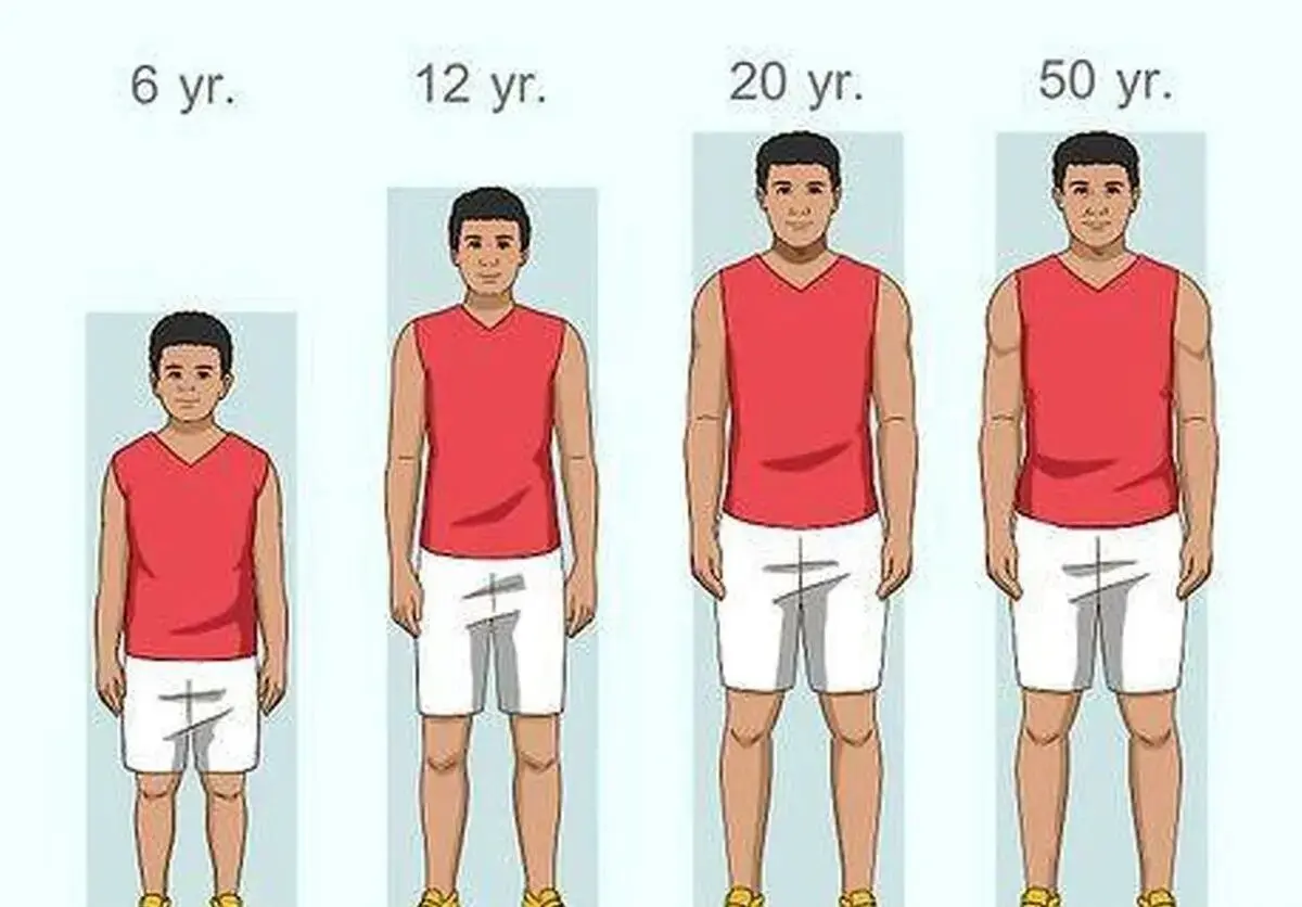 68464
