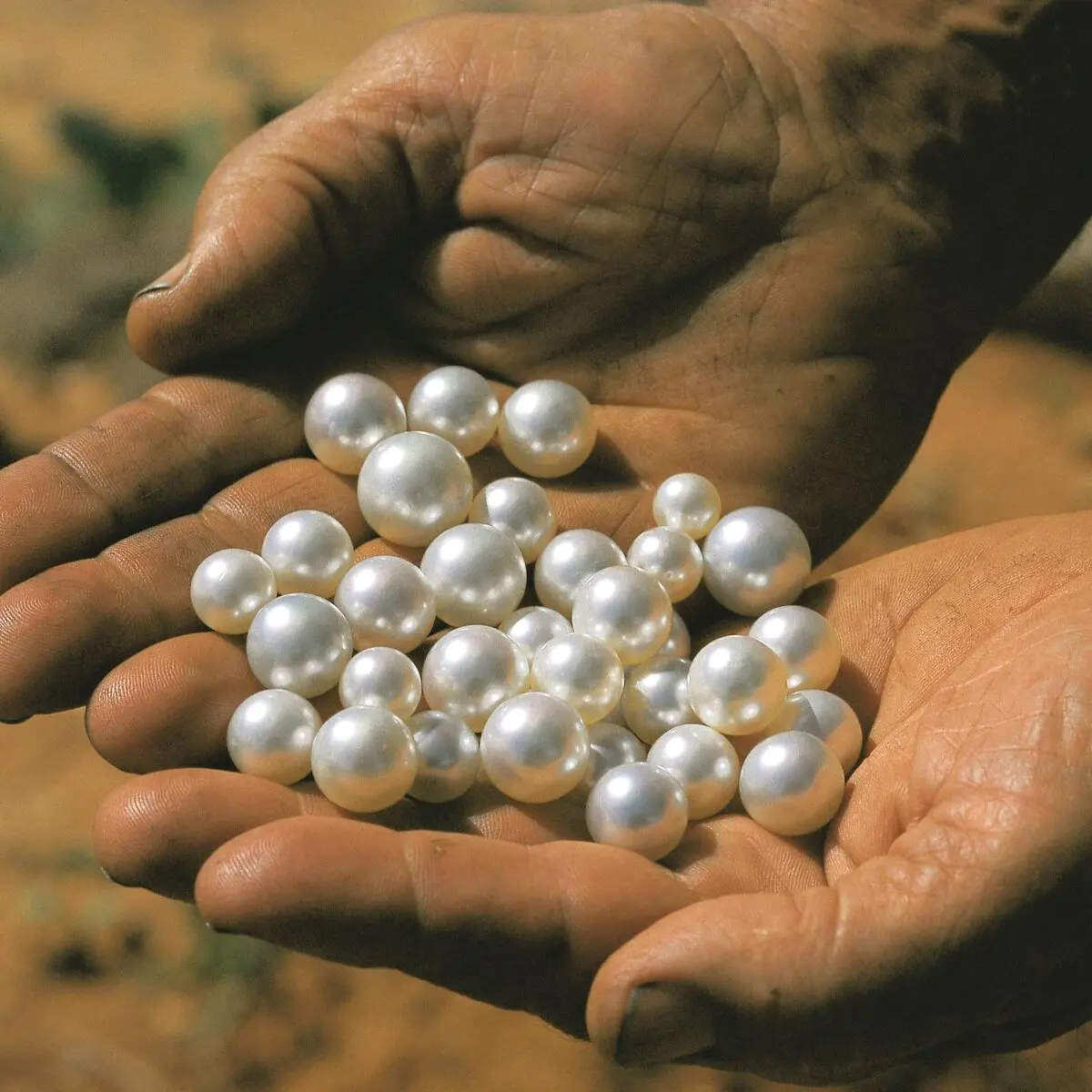 autore_loose_natural_pearls.jpg__1536x0_q75_crop-scale_subsampling-2_upscale-false