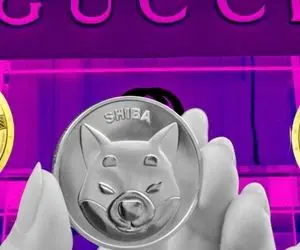 سیگنالی که شیبااینو را به یک دلار می‌رساند!