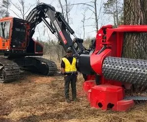 ماشین های پر شگفت؛ لودر سرش رنده بستن درخت به قطر 10 متر رو کرد اندازه ارزن