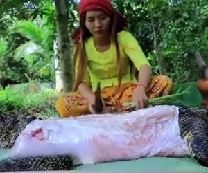 کباب کروکودیل؛ خانومه خیلی زبل دست تنها تمساح غولو پوست کند و به سیخ کشید چطور میخوره