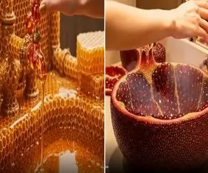 معماری خلاقانه؛ روشویی های گیاهی خانه اشراف که به عنوان ماسک صورت عمل میکنن