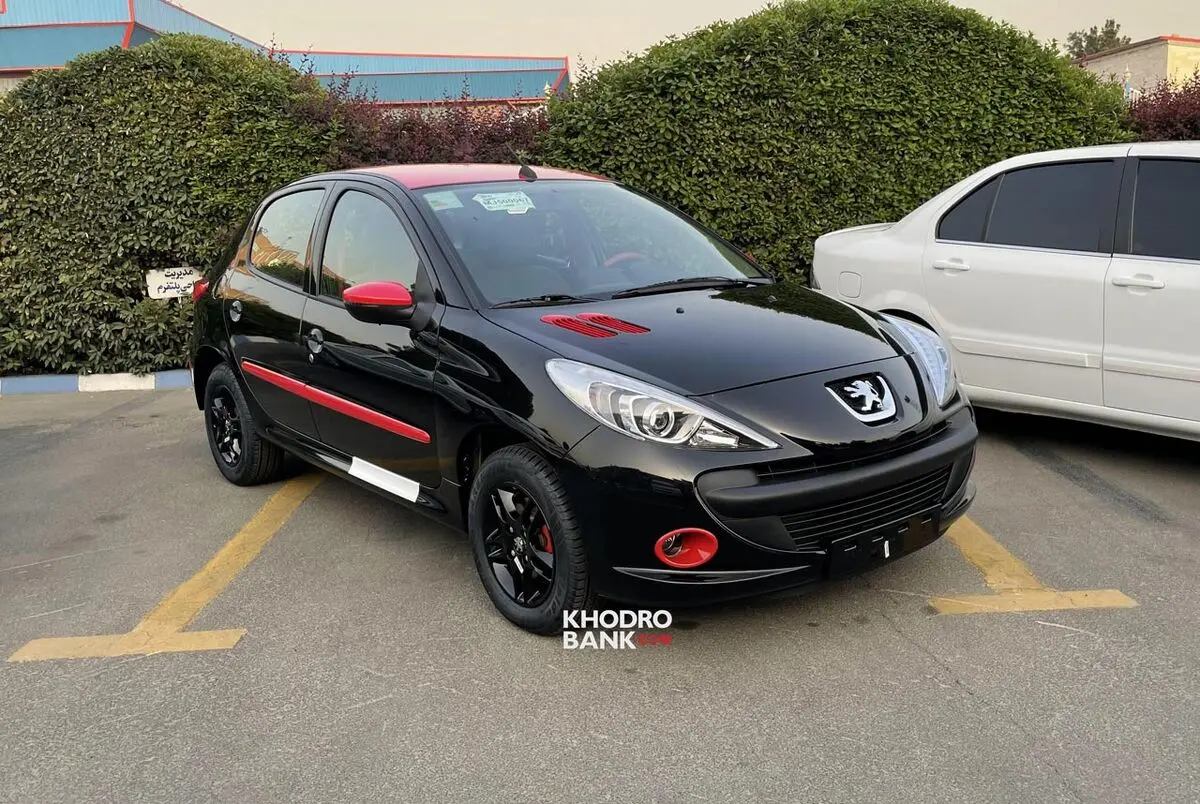11792_Peugeot-207-MC-6