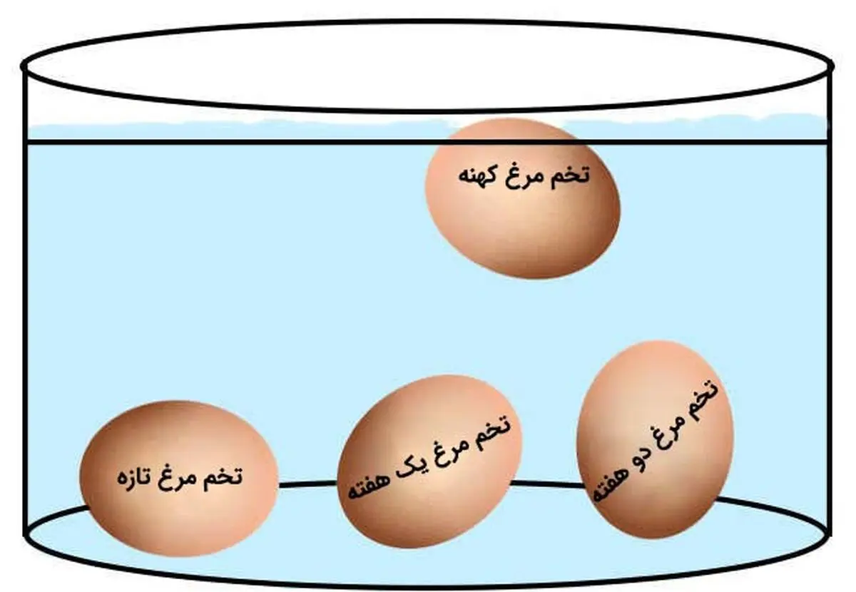 تشخیص-تخم-مرغ-تازه-از-کهنه1710774291