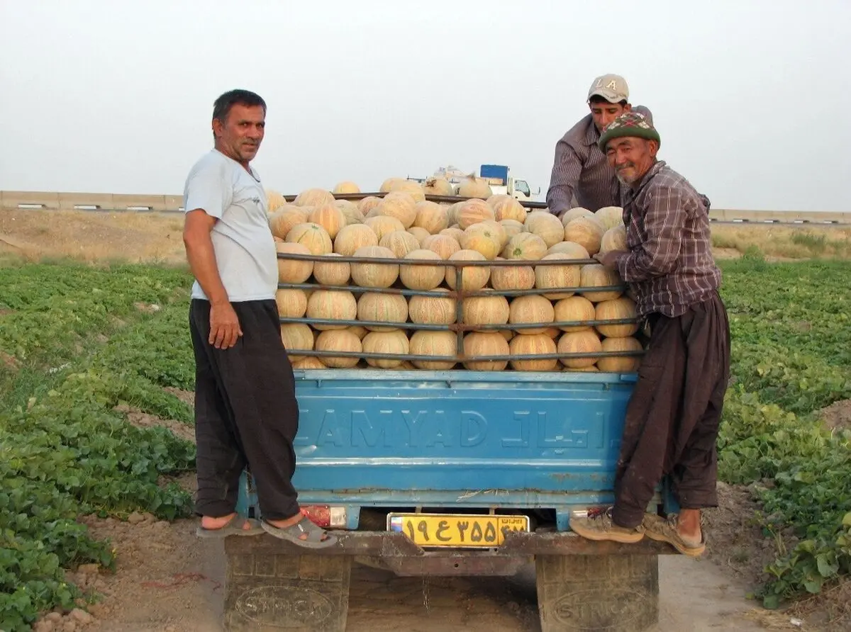 طالبی