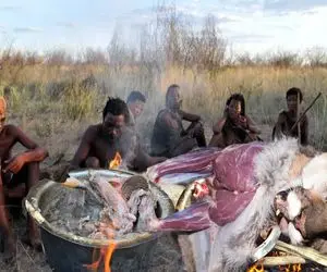 کباب گربه؛ بربرهای برهنه گربه وحشی رو با نیزه شکار و زنده کبابش کردن به نیش کشیدن