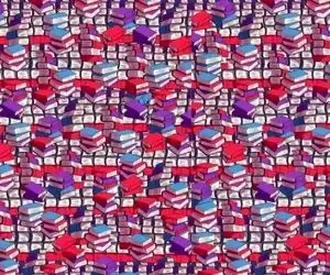 بازی فکری؛ یک نابغه با ضریب هوشی ۲۰۰٪ یا بیشتر میتونه مداد پنهان رو بین کتاب‌ها ببینه