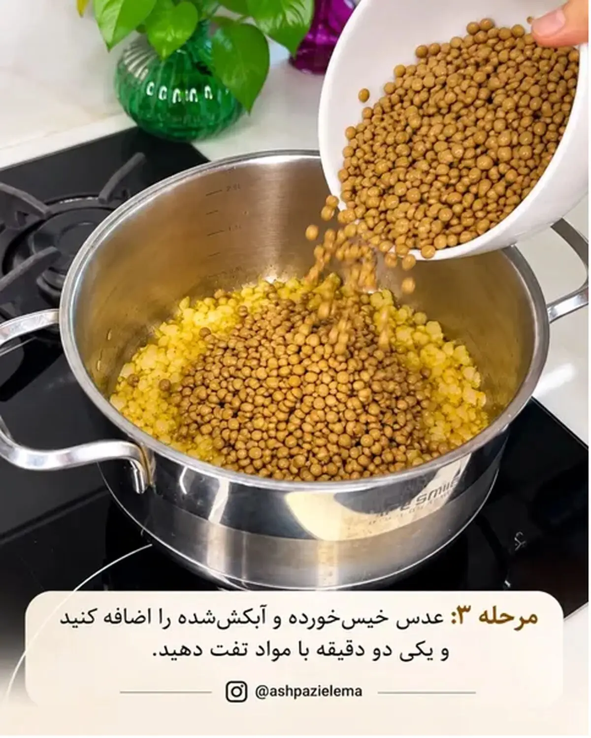 عدسی 3