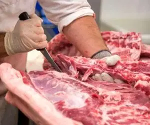 جزئیات تکان‌ دهنده پرونده کشف ۳ تن گوشت الاغ در تهران