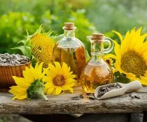 آیا روغن آفتابگردان برای سلامتی مفید است؟