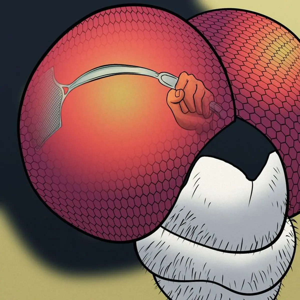 حقایقی از مگس ها