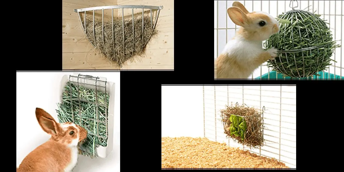 انواع-علوفه-بند