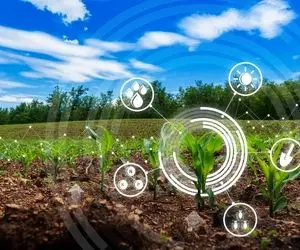 تحقق اقتصاد پایدار با کشاورزی دانش بنیان