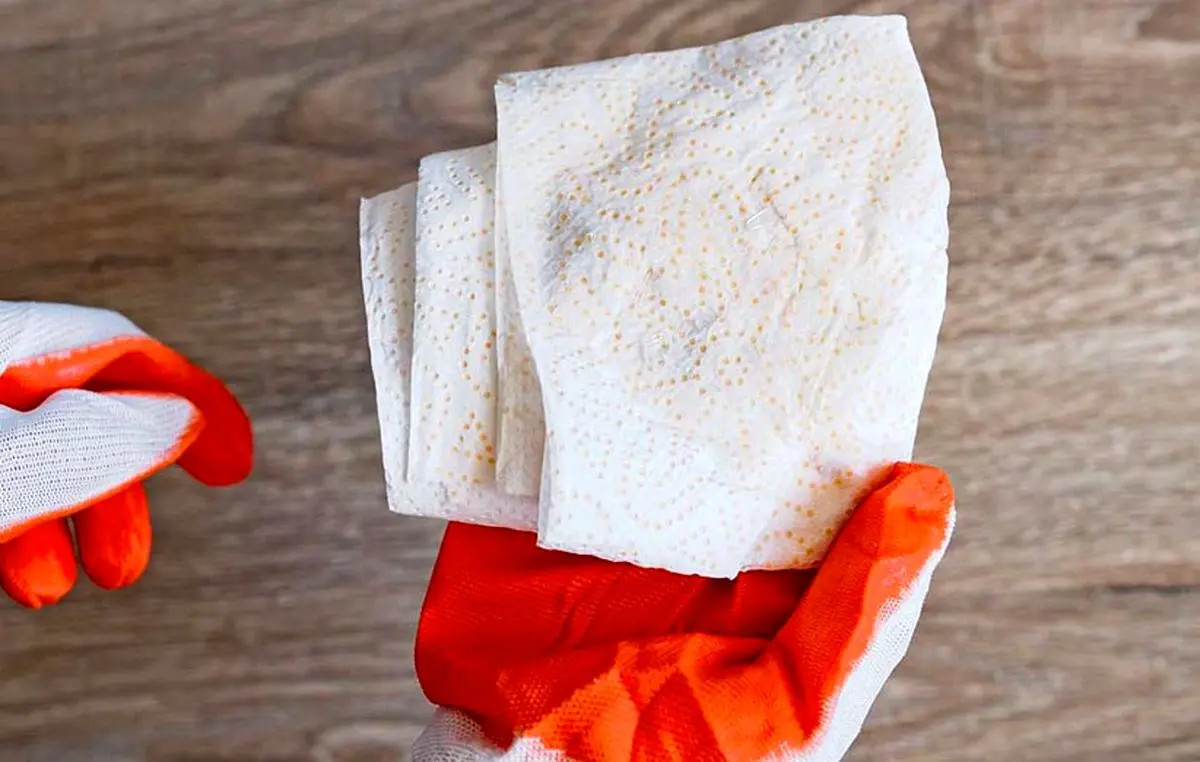 How-to-collect-shards-of-glass-04