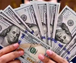 قیمت دلار امروز دوشنبه 14 اردیبهشت 1405؛ جهش 5000 تومانی!