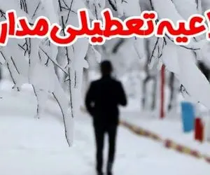 کلیه مدارس ابتدایی تهران فردا دوشنبه تعطیل شد