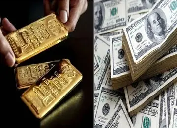 پیش‌بینی جنجالی قیمت دلار و طلا تا پایان ۱۴۰۵؛ دلار ۱۸۵ و طلا ۳۵ میلیونی می‌شود؟