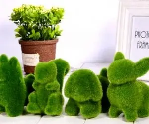 ایده های خلاقانه؛ مد شده همه عید سبزه پرتقال میذارن تو کوزه سبز کن تو شکلای مختلف