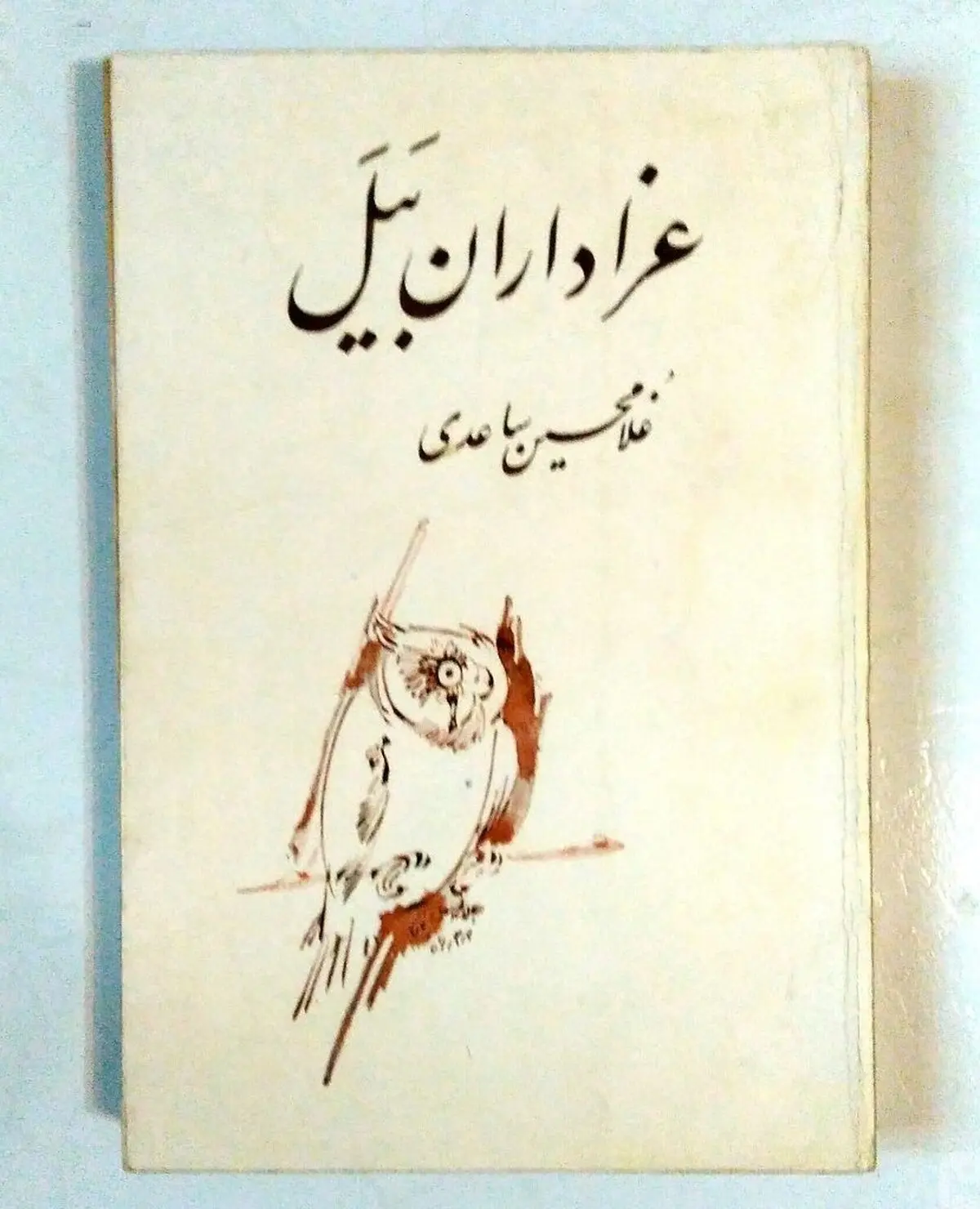 هفت رمان با داستان واقعی و کلی اتفاق سحرآمیز؛ شاهکارهایی به سبک رئالیسم جادویی