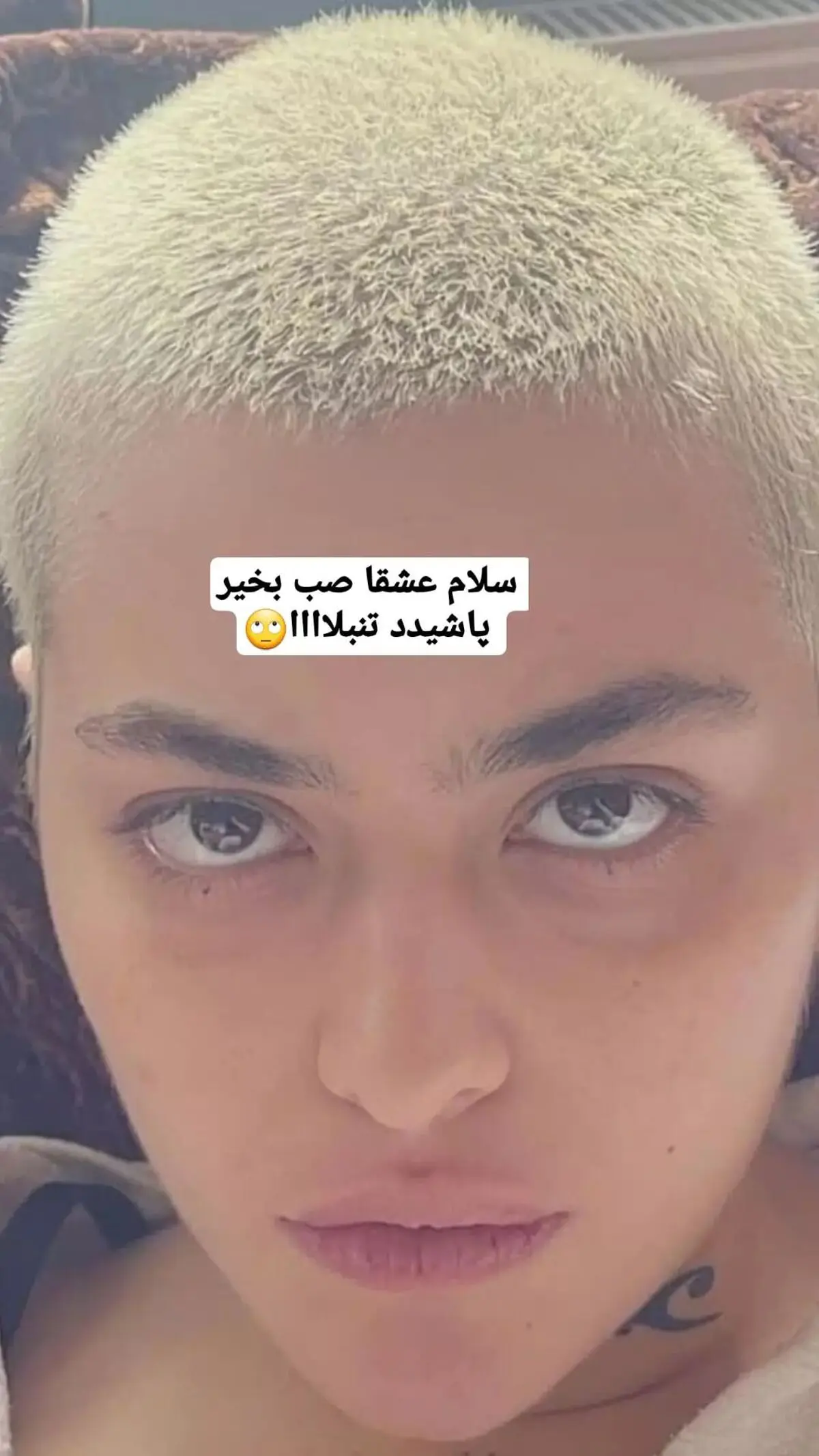 ریحانه پارسا