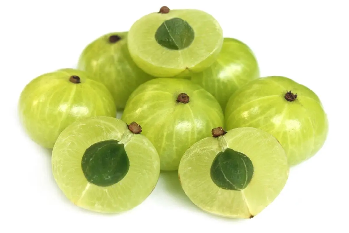 انگور