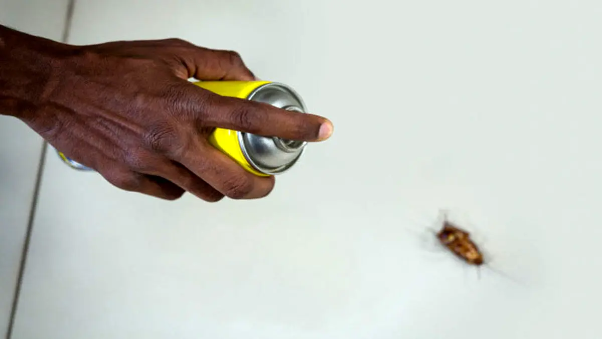 hand-spraying-pesticide-cockroach_-1