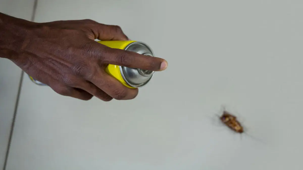 hand-spraying-pesticide-cockroach_-1