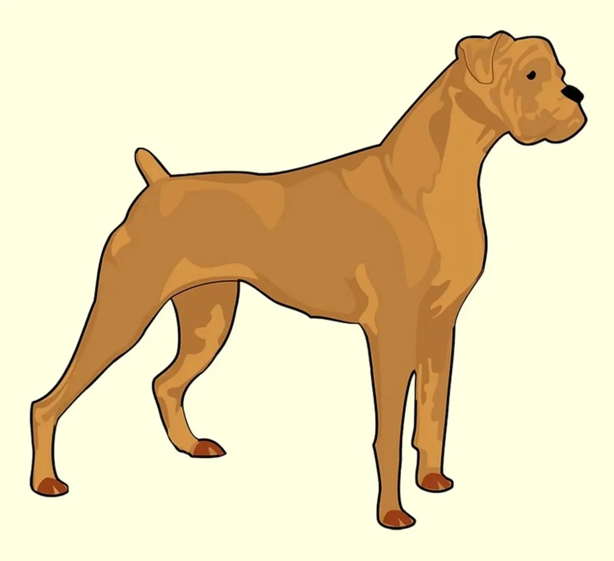4644