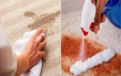 لکه چای و قهوه رو از فرش پاک کن، مثل حرفه‌ایا/ترفند طلایی سه سوته برای تمیز کردن لکه