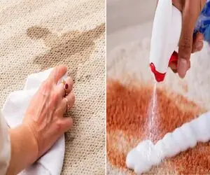 لکه چای و قهوه رو از فرش پاک کن، مثل حرفه‌ایا/ترفند طلایی سه سوته برای تمیز کردن لکه
