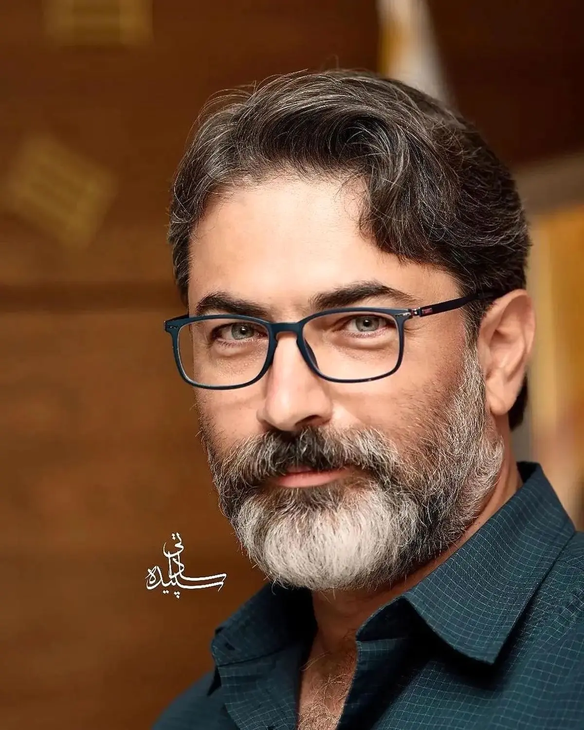 پارسا+پیروزفر